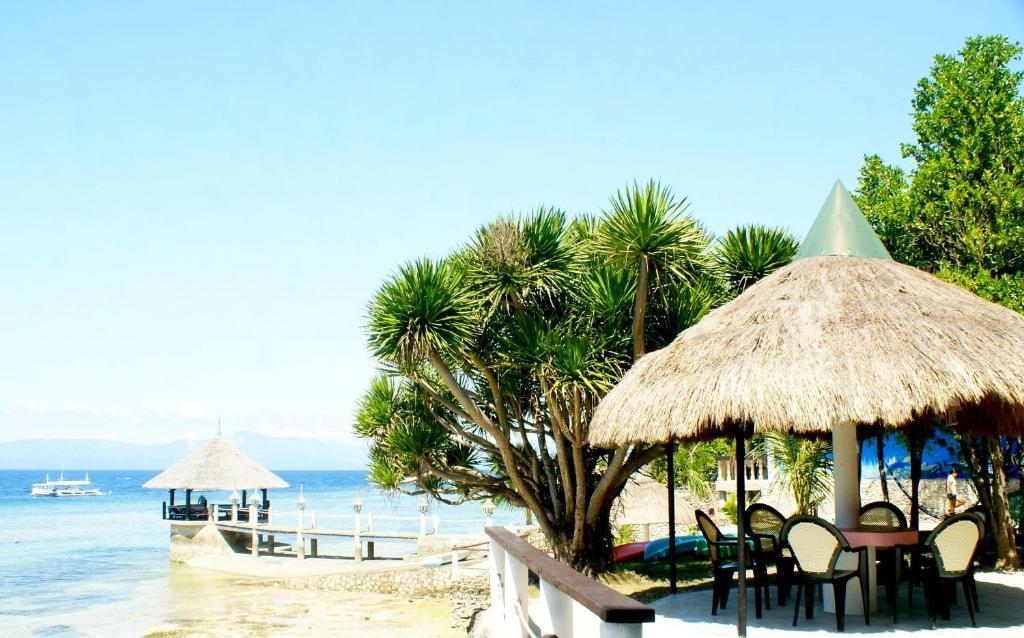 Asian Belgian Dive Resort Moalboal Exterior photo