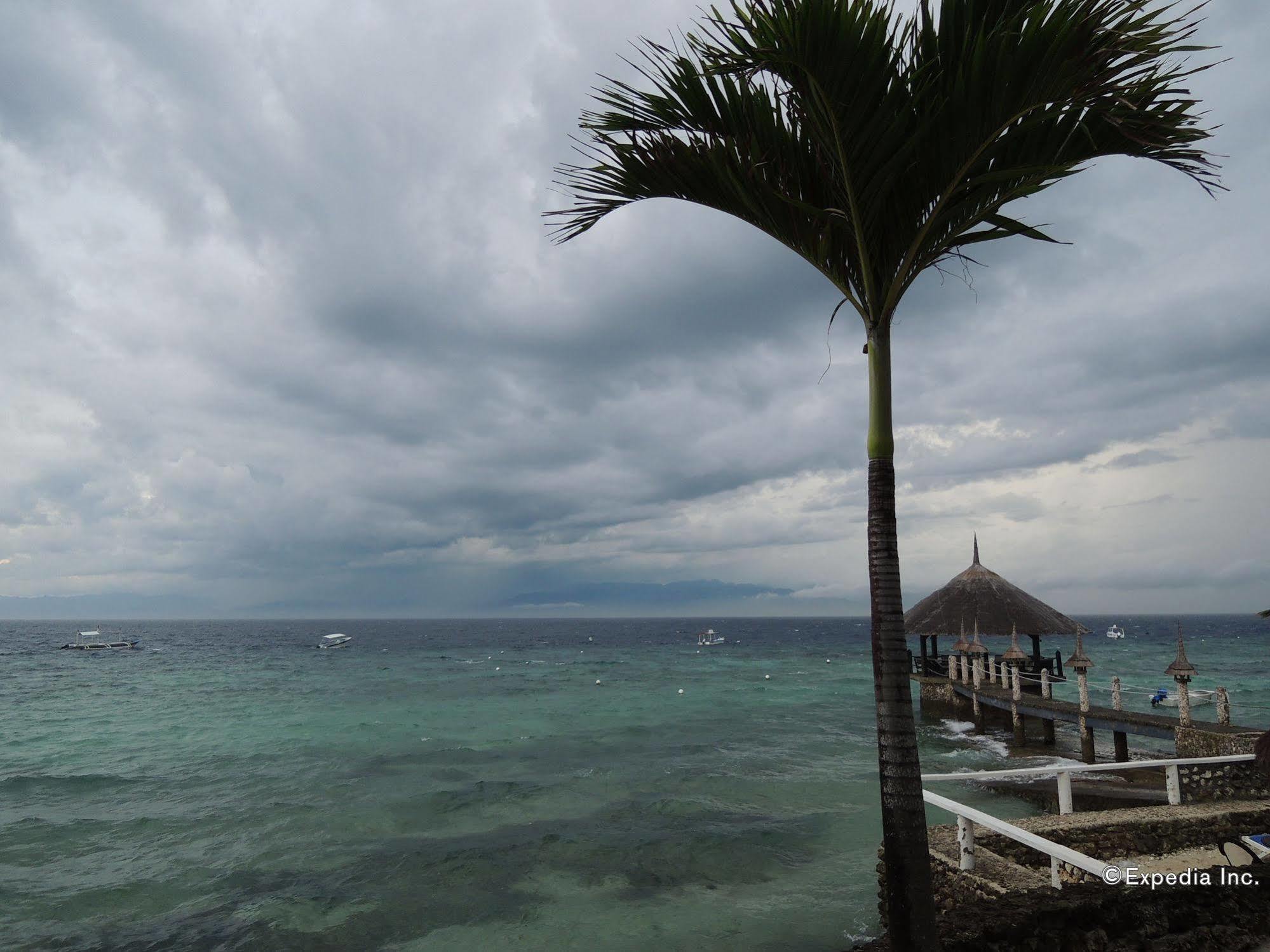Asian Belgian Dive Resort Moalboal Exterior photo